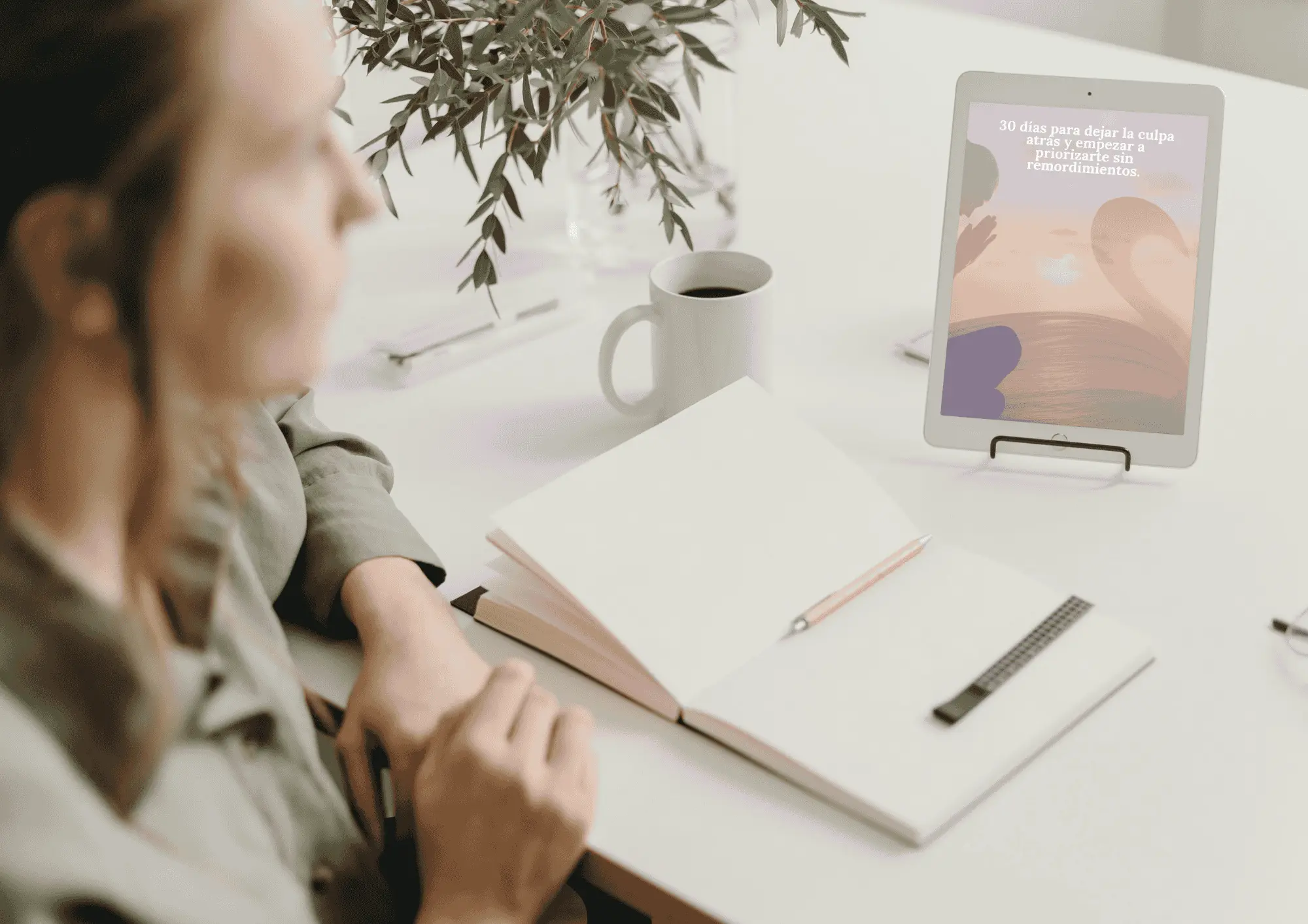 WEBP Bono mío clara hipercomprimido