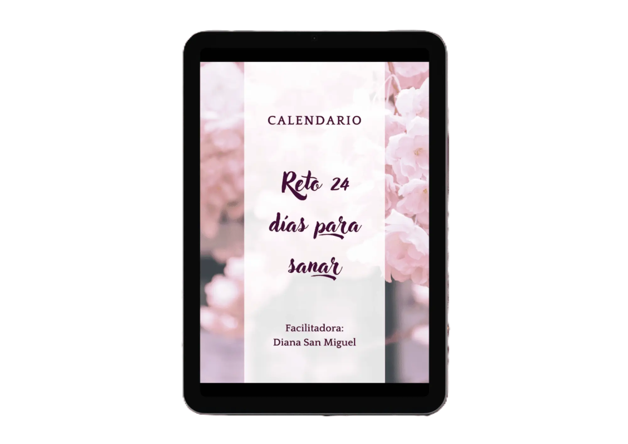 WEBP bono reto 24 días diana